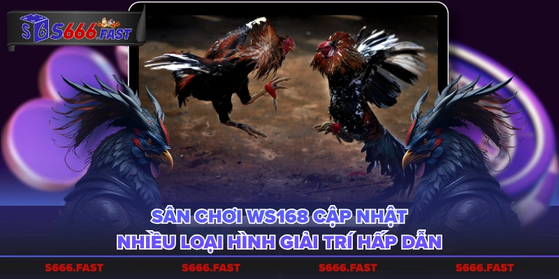 Sân chơi WS168 cập nhật nhiều loại hình giải trí hấp dẫn